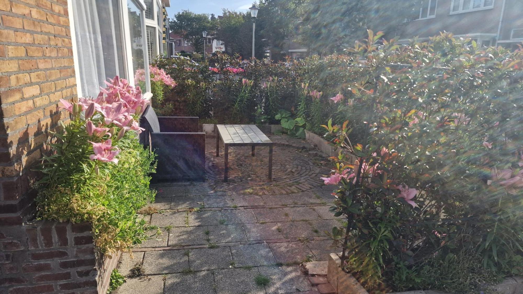Guesthouse Zandvoort Zewnętrze zdjęcie