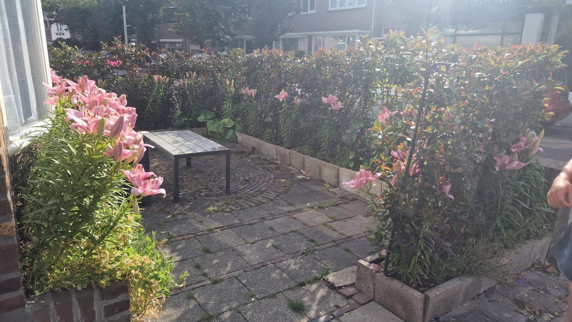 Guesthouse Zandvoort Zewnętrze zdjęcie